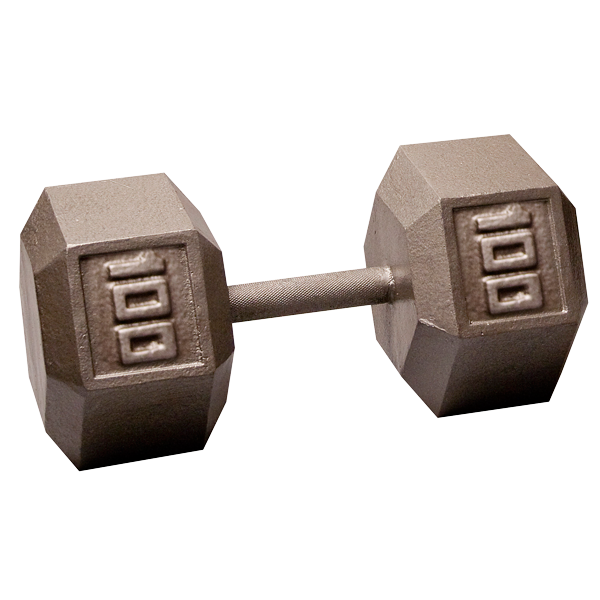 Cast Iron Hex Dumbbells 100lb